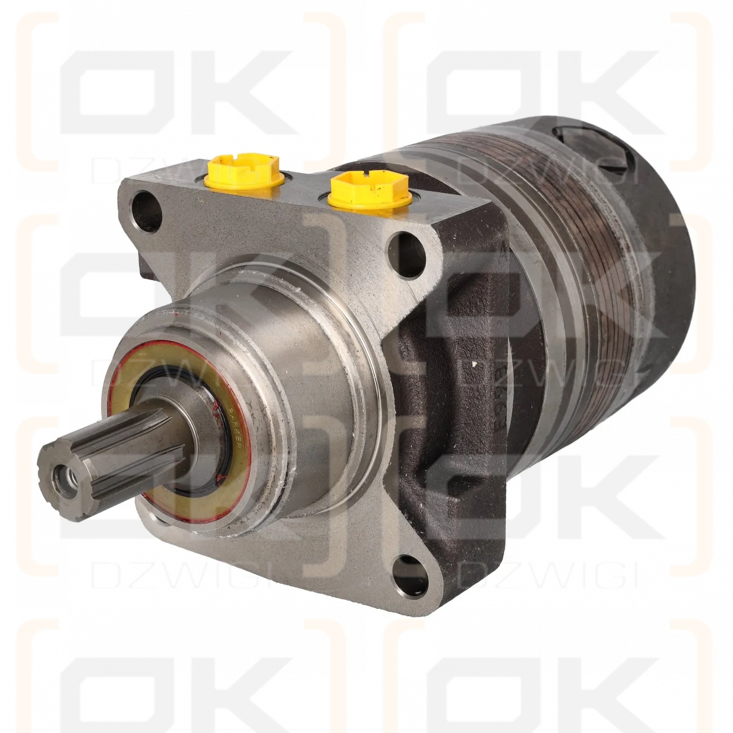 Silnik hydrauliczny Parker TF0170HW410BBBN